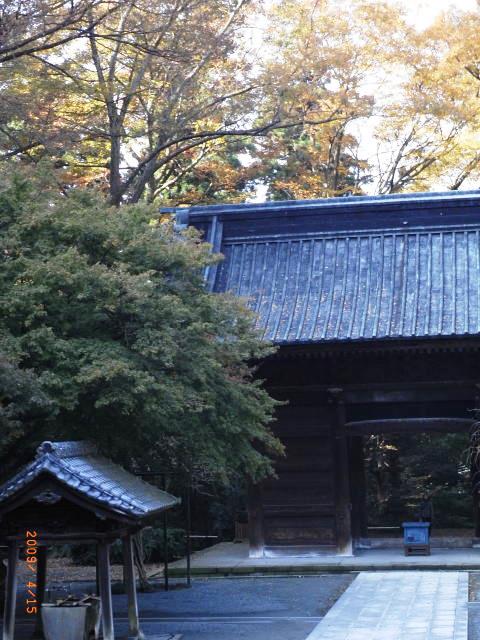 史跡を案内する筆者